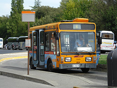 autobus